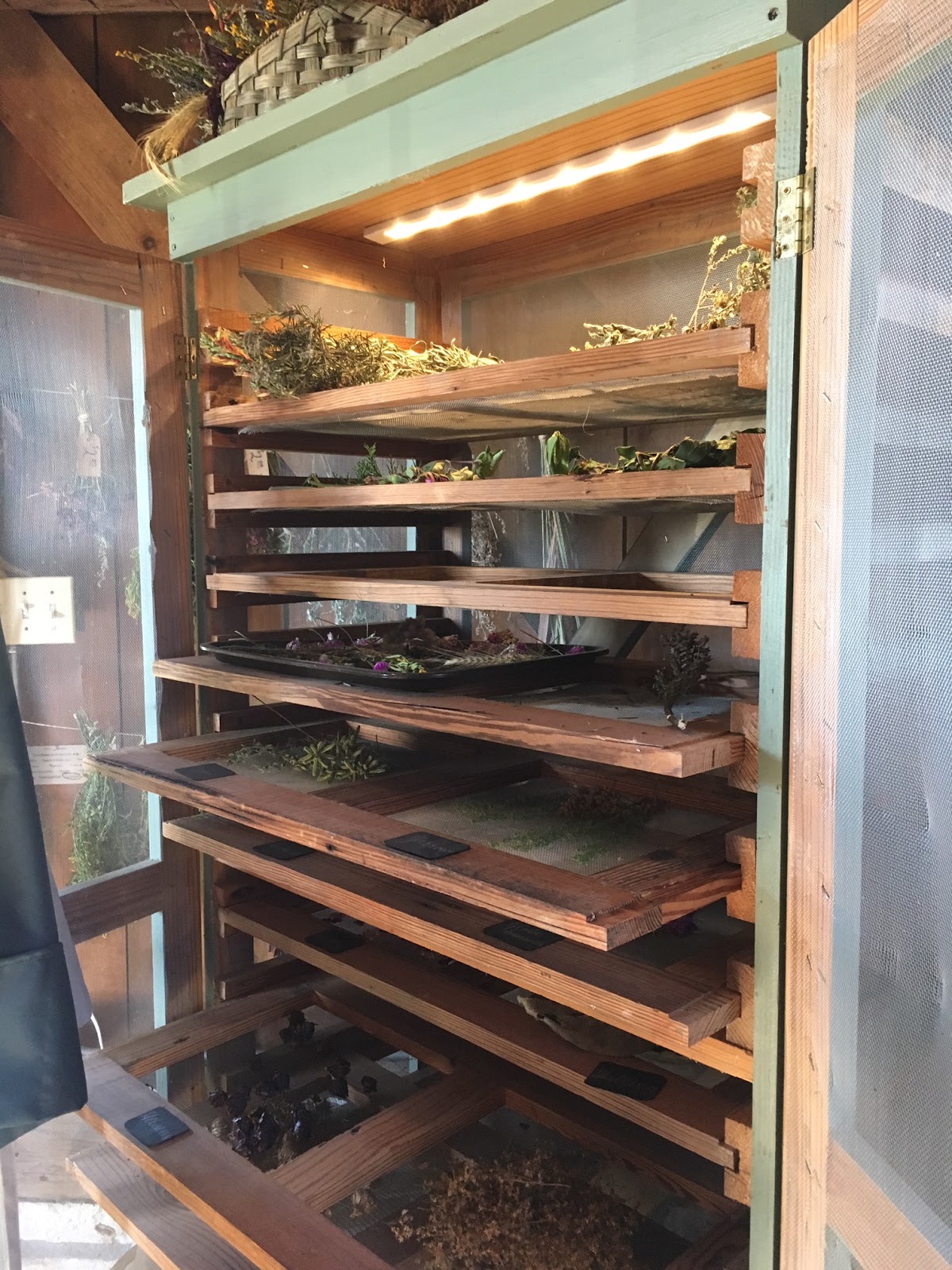 The Texas Pioneer Woman Herb Drying