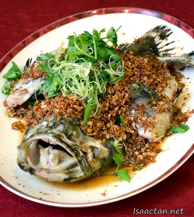  Steamed Red Snapper with Golden Garlic and Superior Soya Sauce