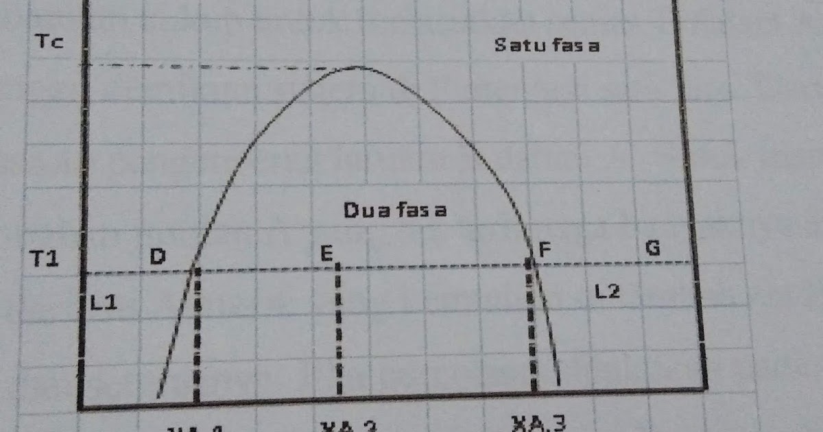 Laporan Praktikum Kimia Fiska II (kesetimbangan fasa dua
