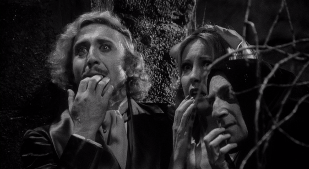 Everything is abby normal: Young Frankenstein (1974)