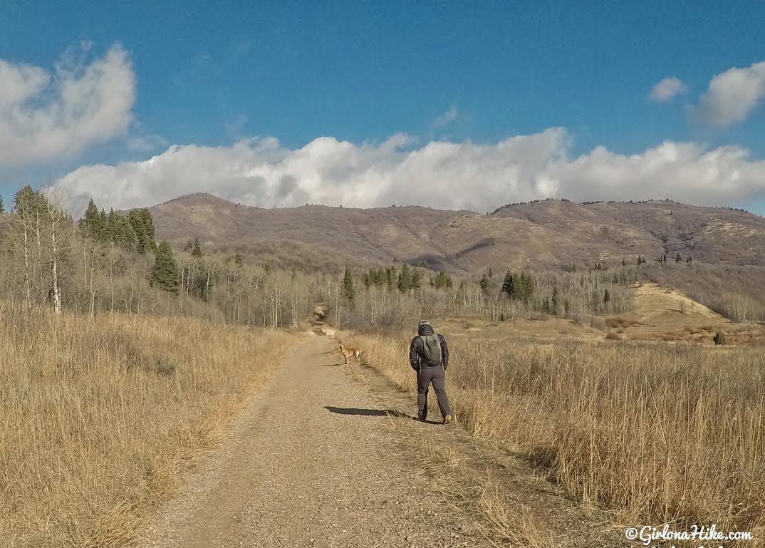 Hiking the Sardine Peak Loop, Snowbasin Girl on a Hike
