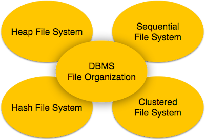 file organization file organization