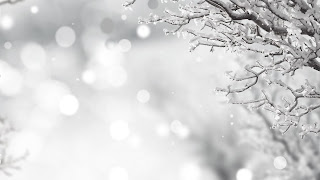 Winter Wallpaper Winter Wallpaper