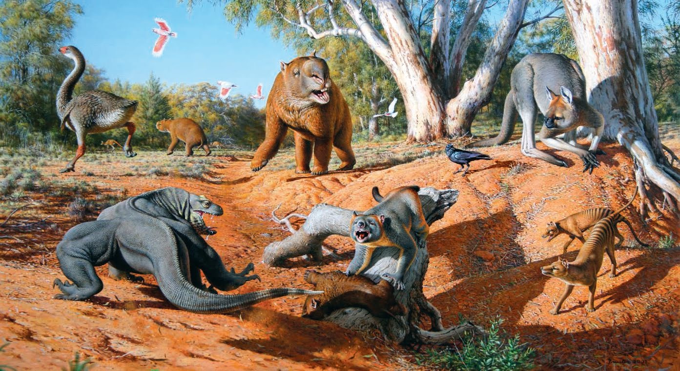 Outback Snack Australia: Australian Megafauna