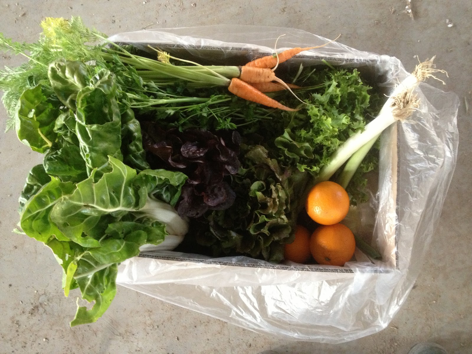 Cestas del Campo a Casa, verdura