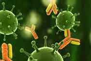 Ciri-Ciri Virus, Replikasi dan Peran Virus dalam Kehidupan
