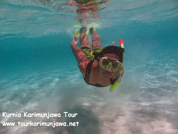 Snorkeling di Karimunjawa