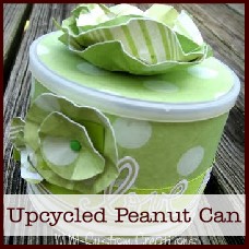 lets recycle: altered peanut can