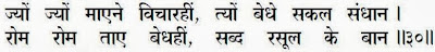 Sanandh by Mahamati Prannath - Chapter 22 Verse 30