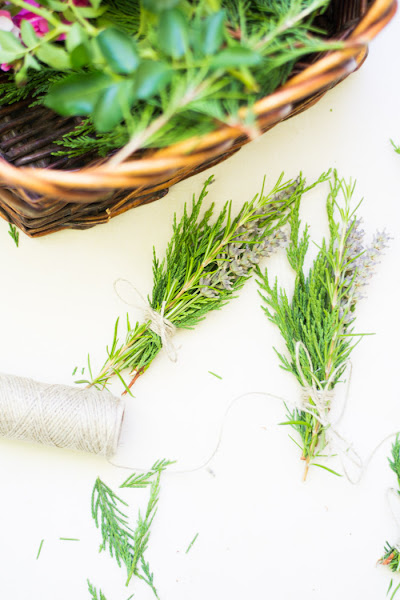 Ramilletes plantas diy