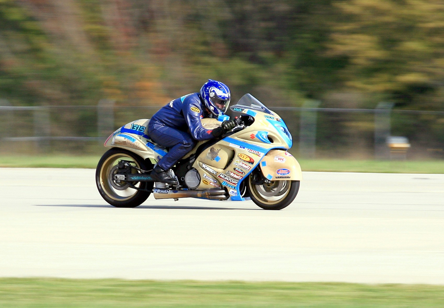 A All Animal Control Racing A All Animal Control Racing Gearing up For