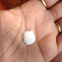 Nivea Milk Delights Fine Gramflour Face Wash Review Nivea Milk Delights Fine Gramflour Face Wash Review