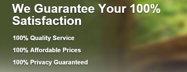 No 1 Custom Dissertation Writing & Editing Service