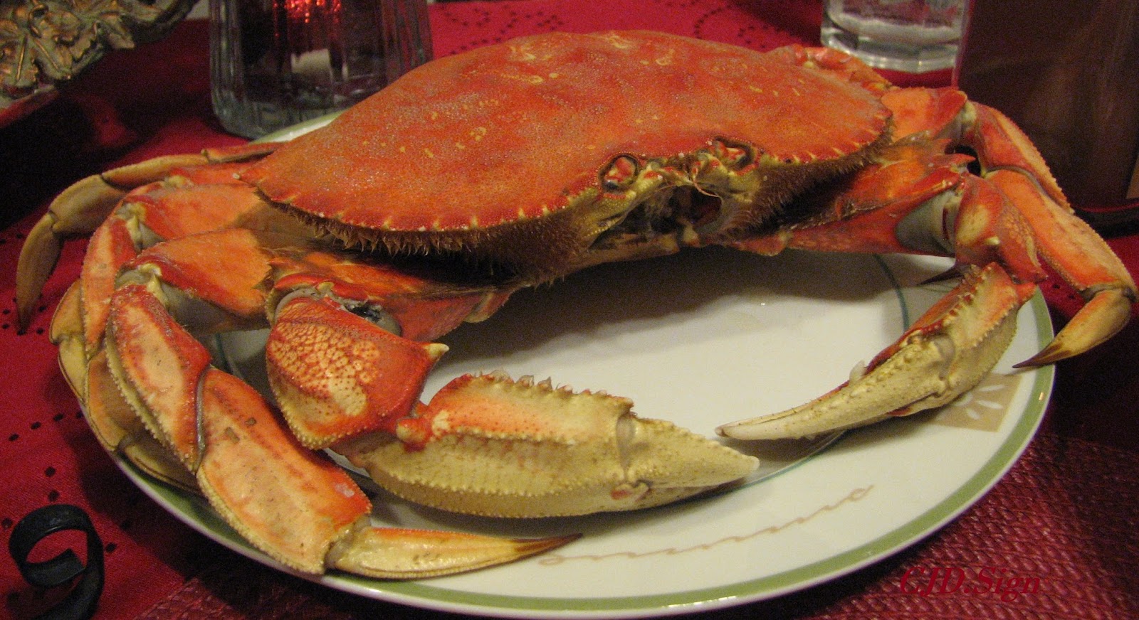 How To Eat A Dungeness Crab Illustrated Tutorial