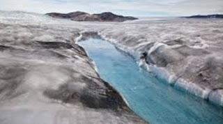 Akibat pemanasan global, es di kutub banyak yang mencair.