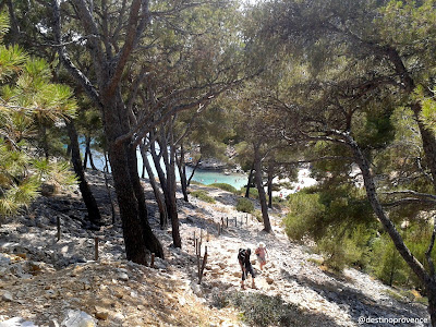 Calanque Port Pin