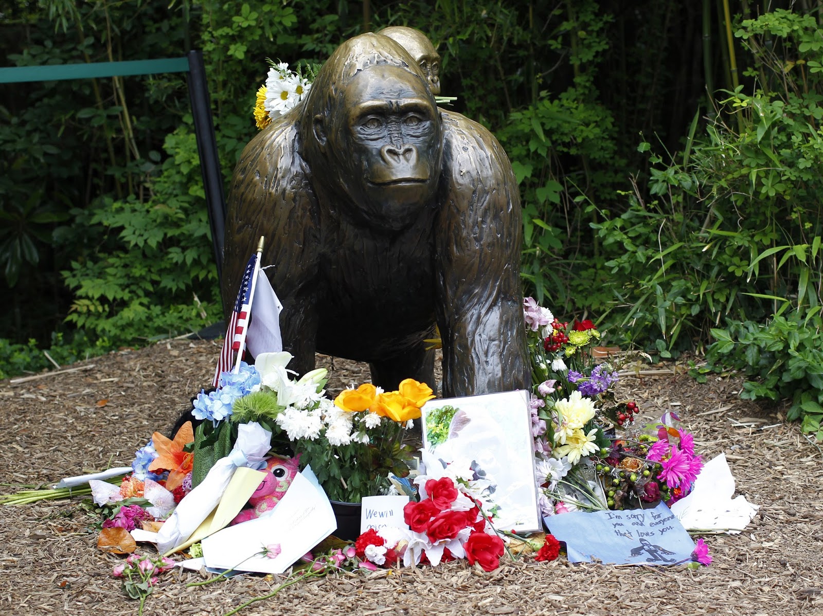 have harambe memes officially