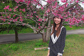Asian girl posing under a cherry tree, in bloom