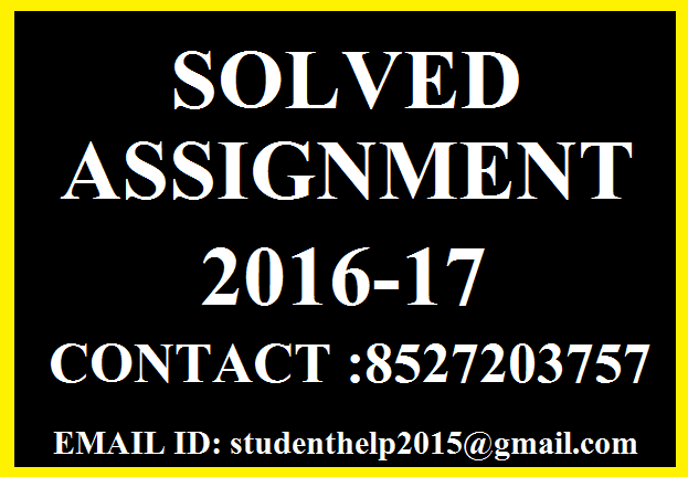 essay on languages teacher in hindi