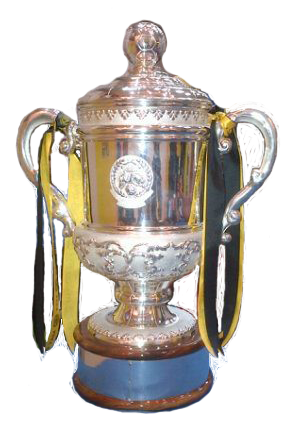 Piala Liga Champion Png / Liga Champions UEFA - Wikipedia bahasa