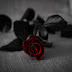 AWAS PENDANGKALAN AQIDAH, VALENTINE DAY = HARI CINTA UNTUK SIAPA??