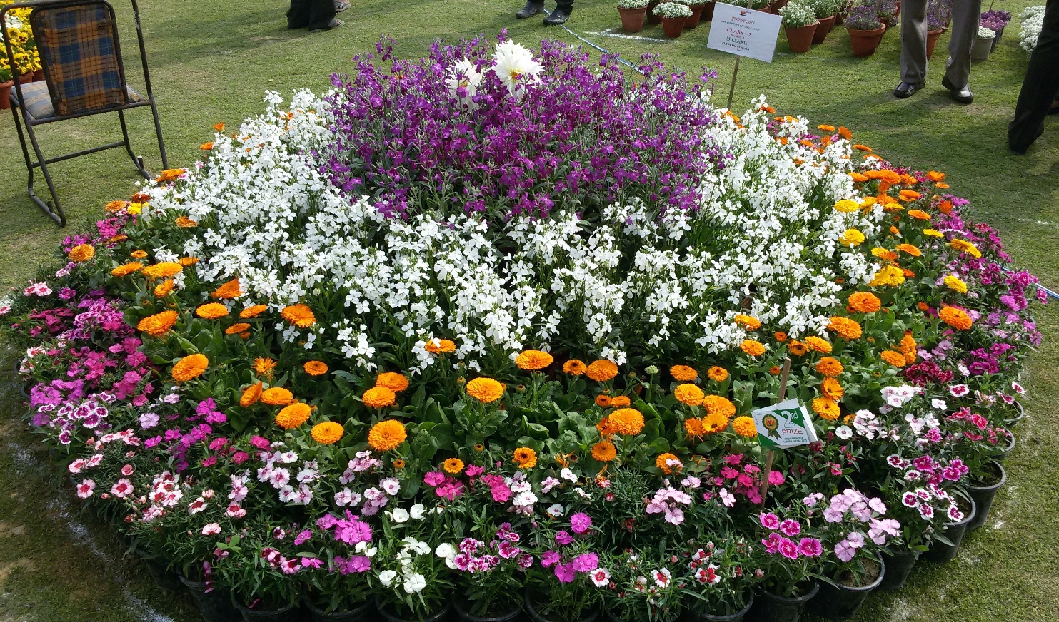 An Indian Gardener's Diary A Visit to Flower Show Feb 2015 Greater