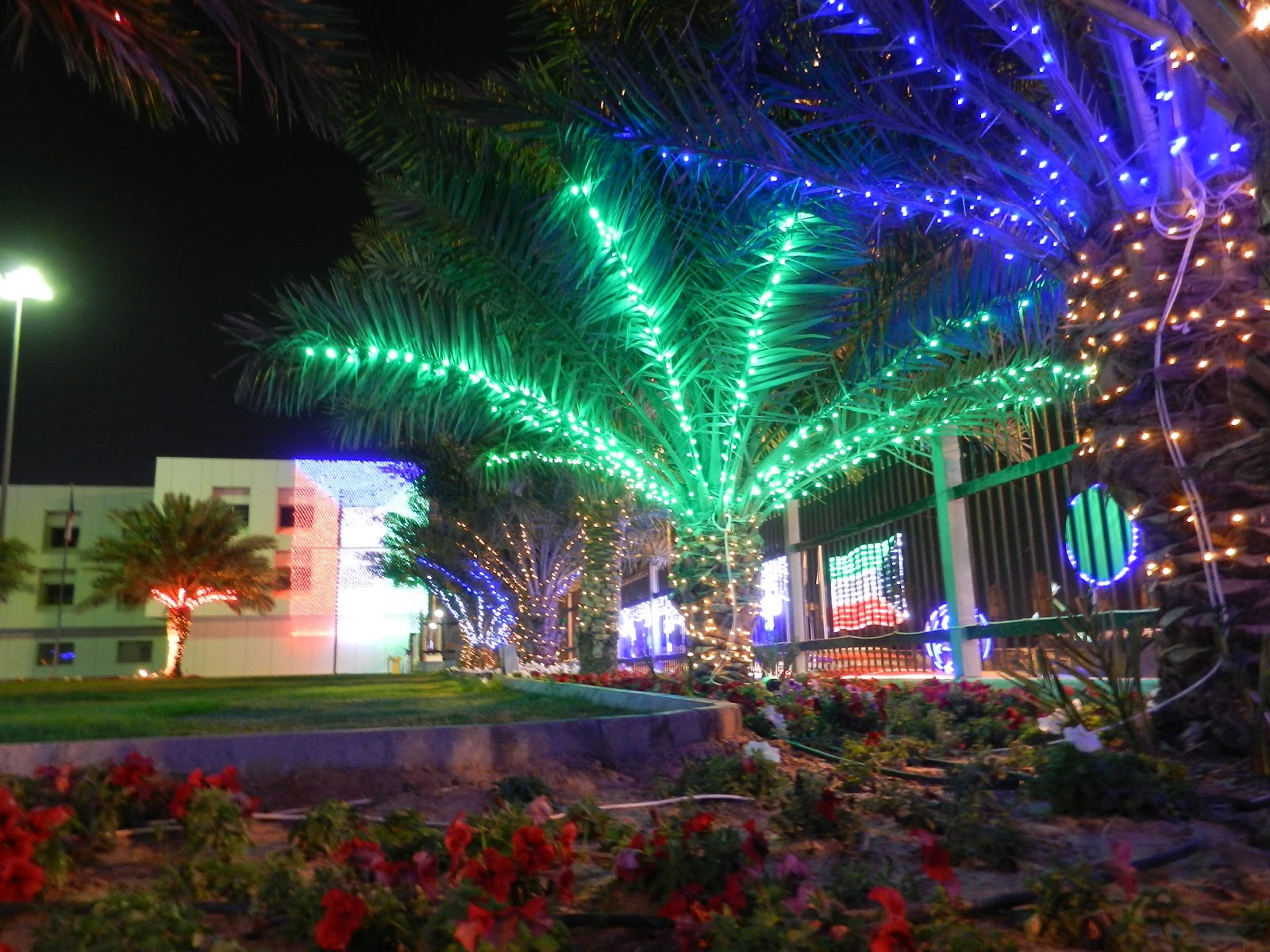 Kuweight 64 AHMADI LIGHTS TURNS MAGICAL FOR KUWAIT NATIONAL AND