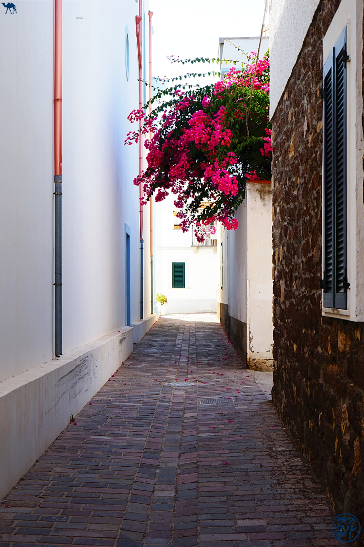 Le Chameau Bleu - Blog Voyage Calasetta Sardaigne - Rue de Calasetta Italie Le Chameau Bleu - Blog Voyage Calasetta Sardaigne - Rue de Calasetta Italie