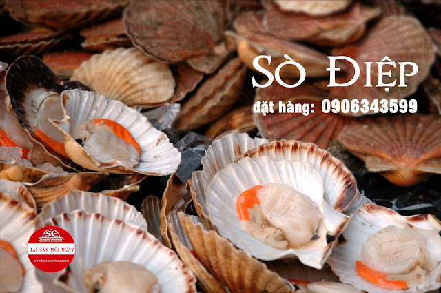 [Image: so%2Bdiep.jpg]