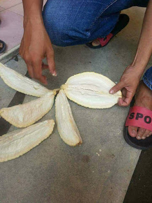 Curhatan Pria Saat Beli Durian Rp 15 Ribu Ini Viral, Saat Dibelah Isinya Bikin Nyesek