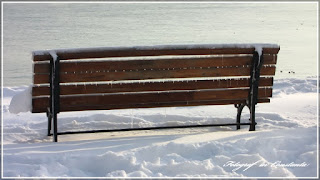 Winter Casino Constanta