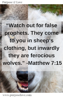 7 Words I never want to hear Jesus say to me Watch out for false prophets. They come to you in sheep's clothing, but inwardly they are ferocious wolves. Matthew 7:15