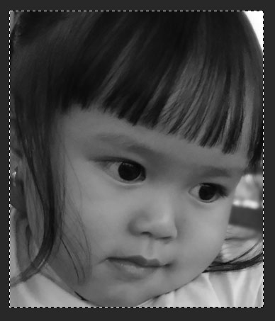 teks potrait efek teks potrait efek