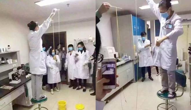 Mengerikan, Dalam Perut Pria ini Tumbuh Cacing Pita Panjang 5 Meter cacing pita panjang 5 meter