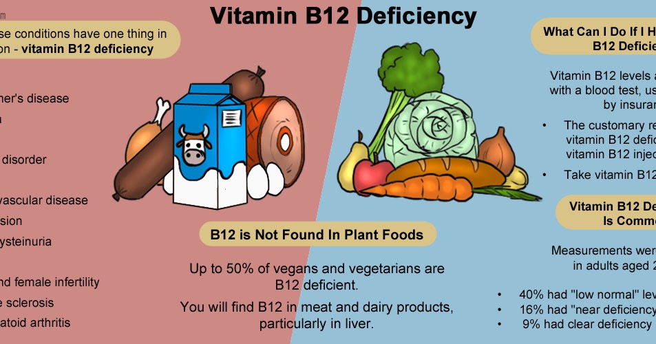 Health Information Guide- HELP: Vitamin B12 Deficiency Anemia