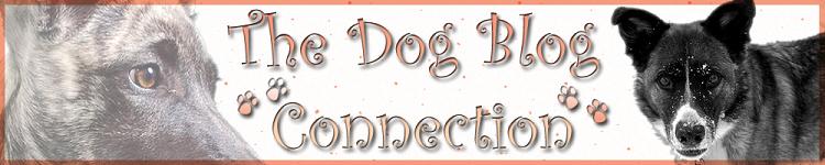 The Dog Blog Connection