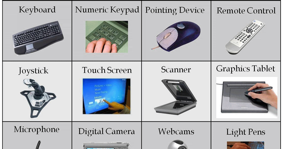 Computer Hardware Input Devices Examples