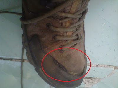 Review Sepatu Gunung Eiger W134 Review Sepatu Gunung Eiger W134