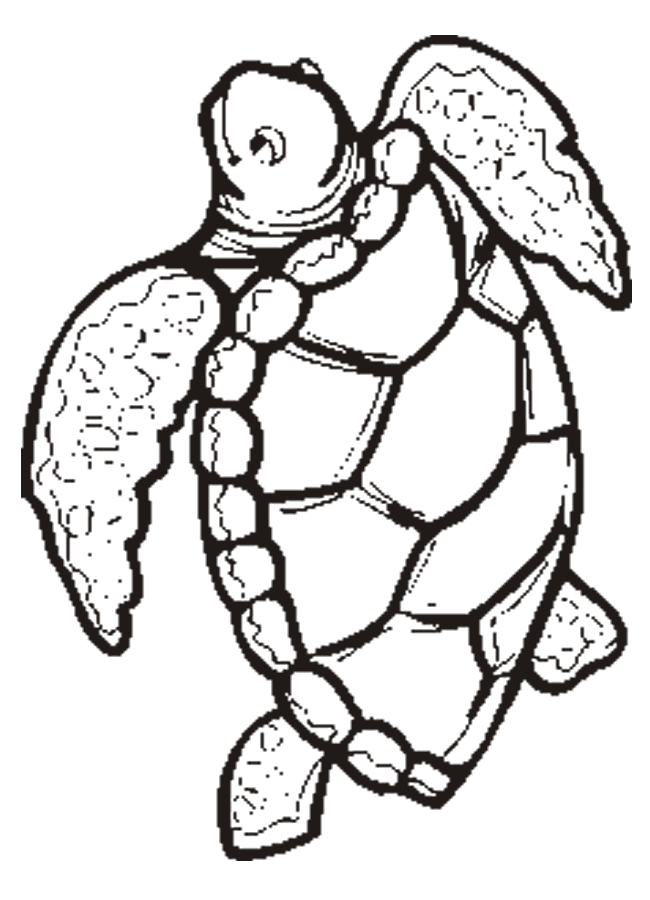Coloring Pages Turtles Free Printable Coloring Pages