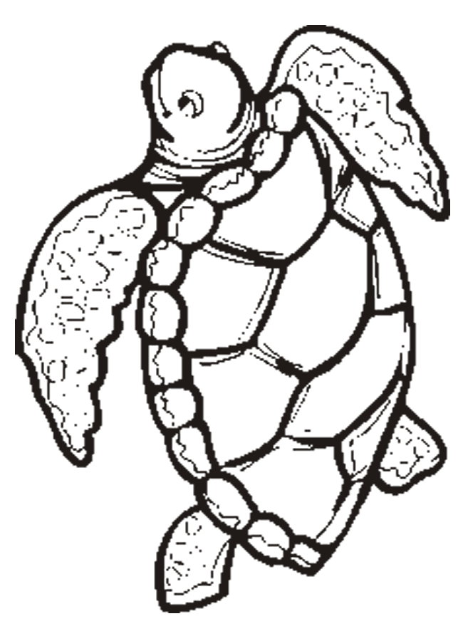 Baby Sea Turtle Coloring Page Coloring Pages Turtles Free Printable Coloring Pages