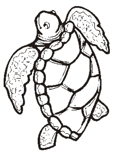 turtle free printable coloring pages coloring.filminspector.com