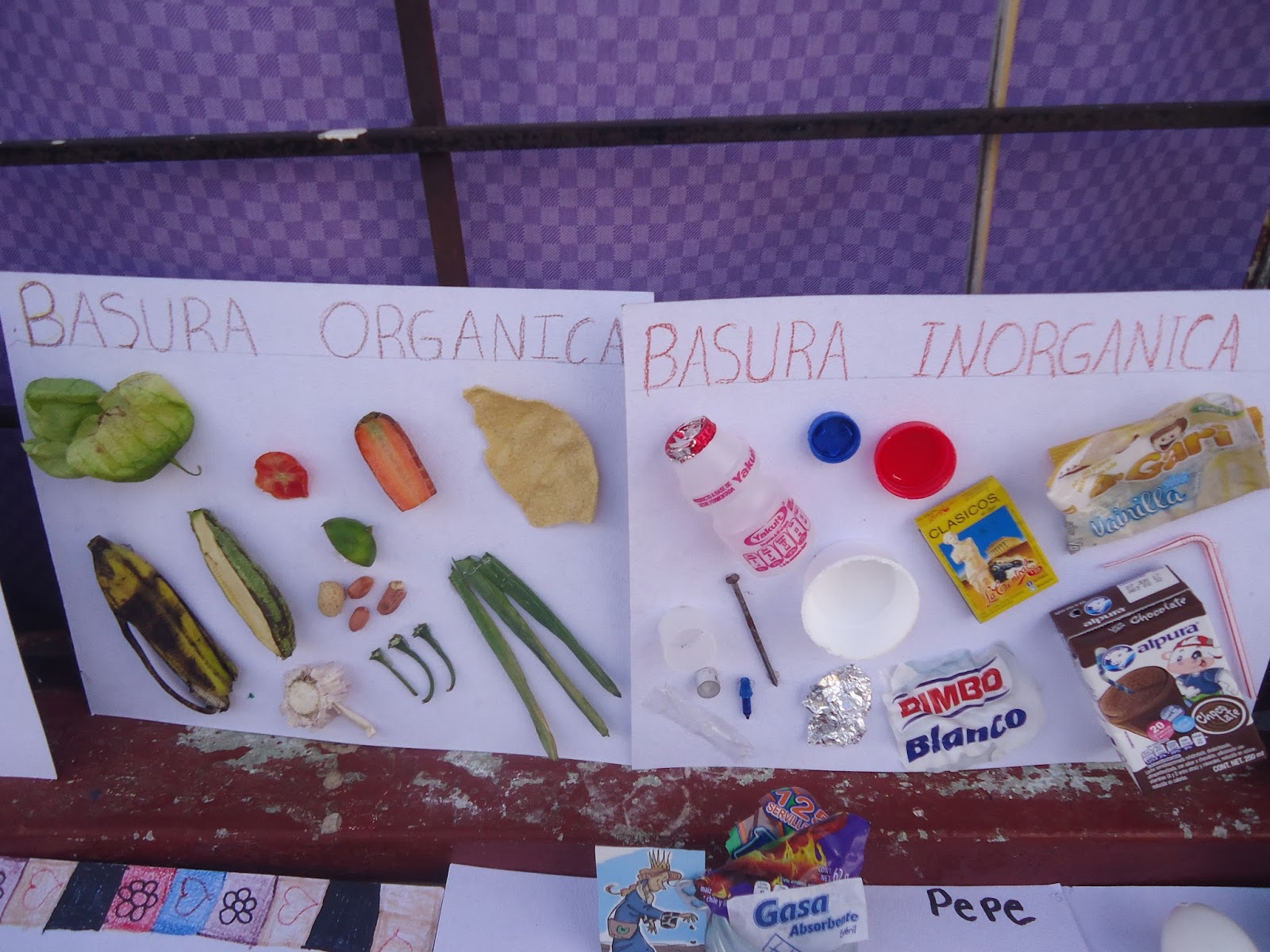 Actividades Sobre Basura Organica E Inorganica