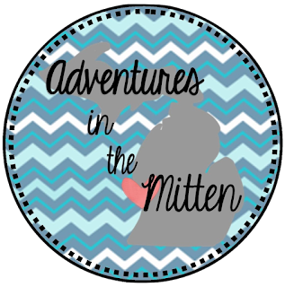 https://teachingadventuresinthemitten.blogspot.com/2016/07/non-fiction-fun-summer-stash-blog-hop.html