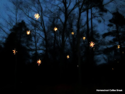 Christmas Lights  - A Longwood Gardens PhotoJournal - Part Two on Homeschool Coffee Break @ kympossibleblog.blogspot.com