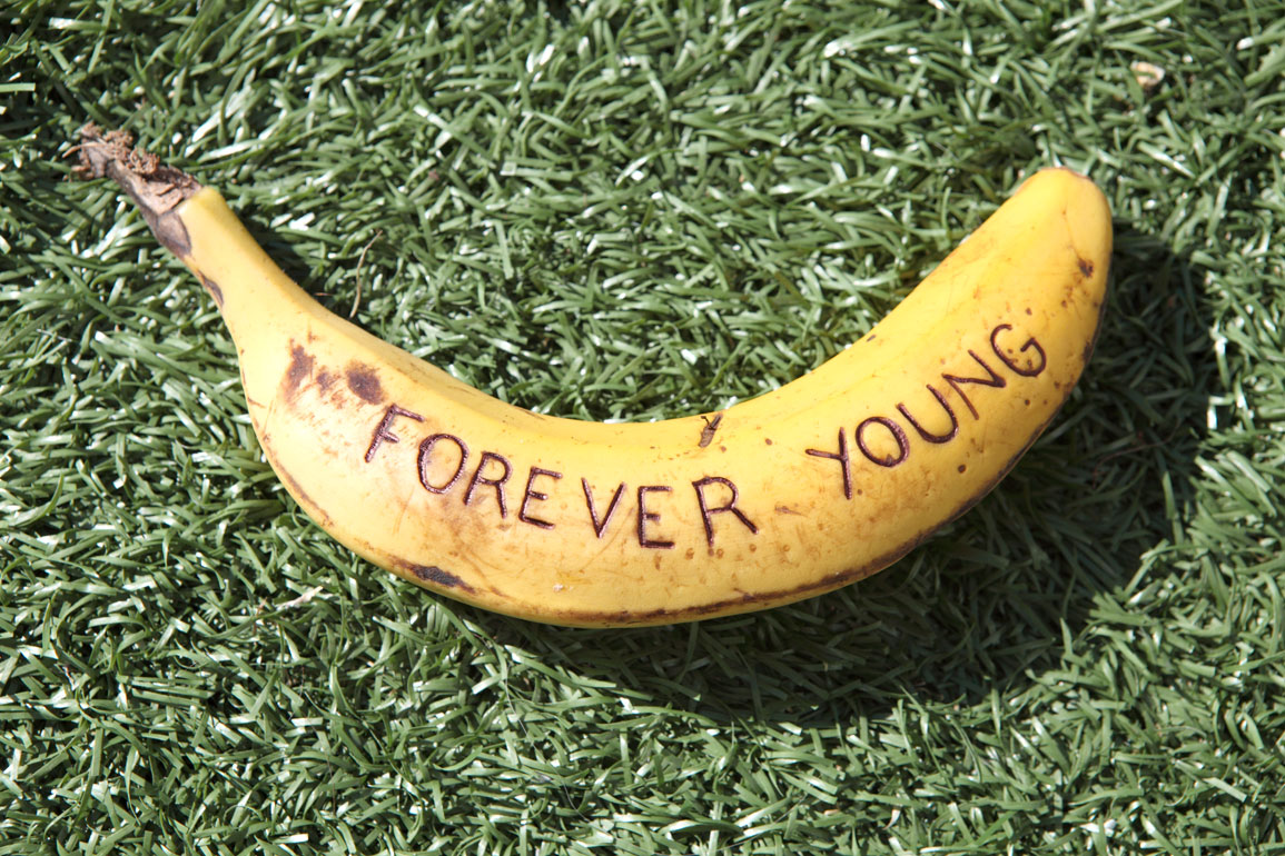 forever young - eructar.webege.com