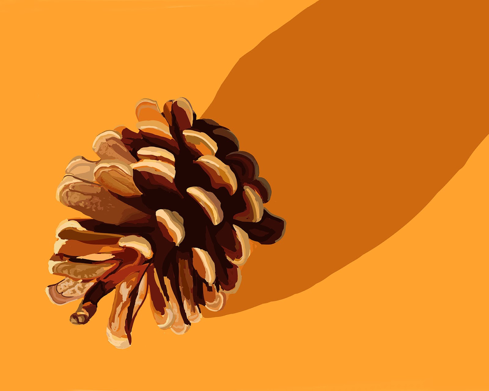 ipad drawing of a pine cone, drawn with adobe ideas