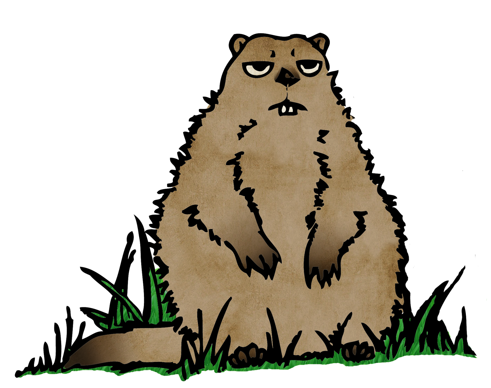 Бобр для кошек. Бобр и кот. Кот с бобровым хвостом. Кот бобр. Бобры амурская область.