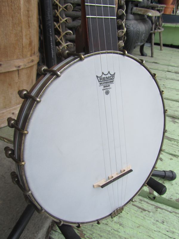 lyon and healy banjo skin