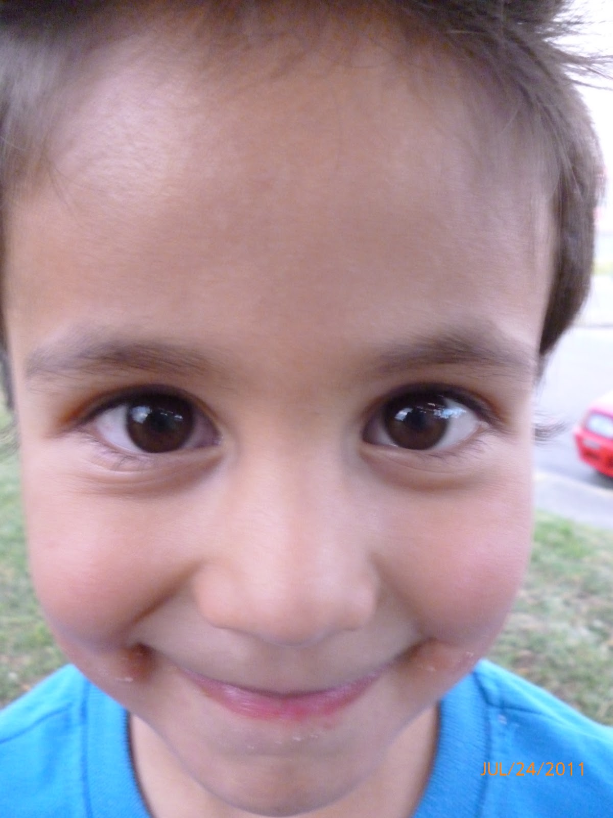 PROYECTO DE FOTOGRAFIA 2011 PRIMERISIMO PRIMER PLANO