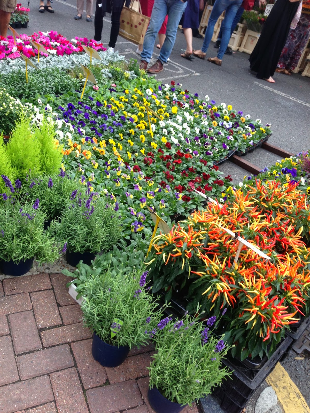 Columbia Road Flower Market, London